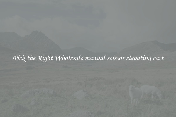 Pick the Right Wholesale manual scissor elevating cart