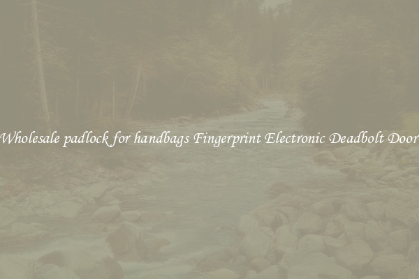 Wholesale padlock for handbags Fingerprint Electronic Deadbolt Door 