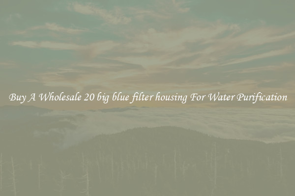 Buy A Wholesale 20 big blue filter housing For Water Purification