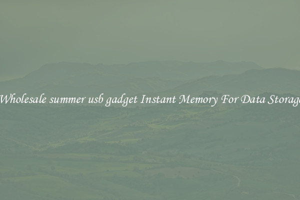 Wholesale summer usb gadget Instant Memory For Data Storage