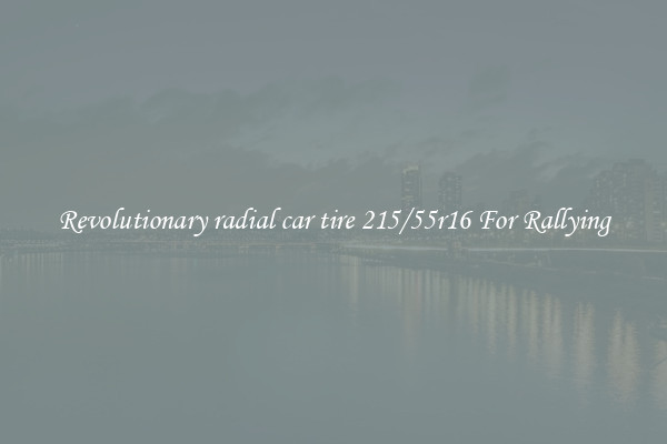 Revolutionary radial car tire 215/55r16 For Rallying