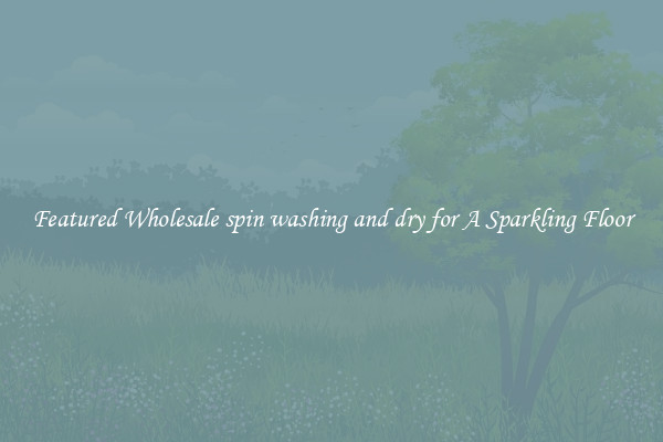 Featured Wholesale spin washing and dry for A Sparkling Floor
