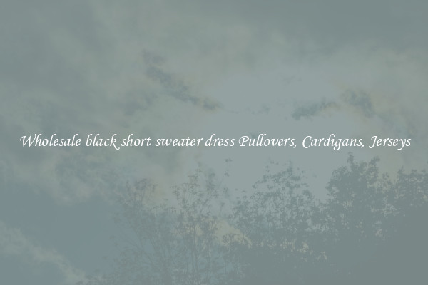 Wholesale black short sweater dress Pullovers, Cardigans, Jerseys