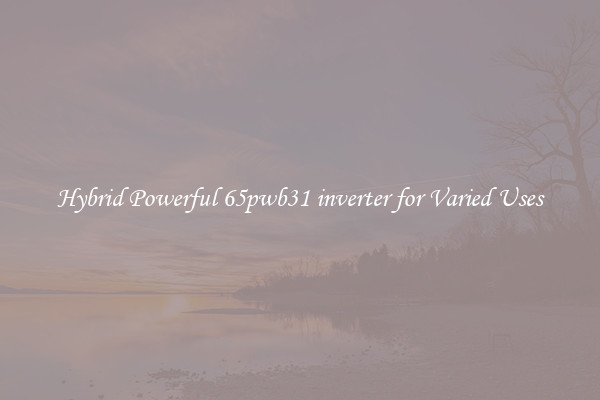 Hybrid Powerful 65pwb31 inverter for Varied Uses