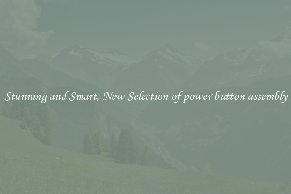 Stunning and Smart, New Selection of power button assembly