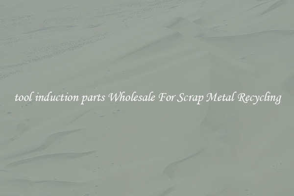 tool induction parts Wholesale For Scrap Metal Recycling