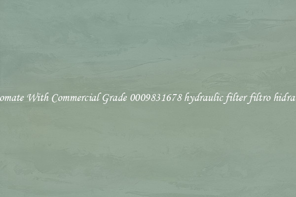 Automate With Commercial Grade 0009831678 hydraulic filter filtro hidraulico
