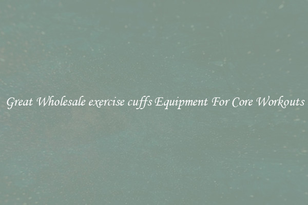 Great Wholesale exercise cuffs Equipment For Core Workouts