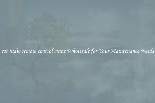 eot radio remote control crane Wholesale for Your Maintenance Needs