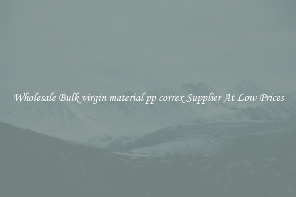 Wholesale Bulk virgin material pp correx Supplier At Low Prices