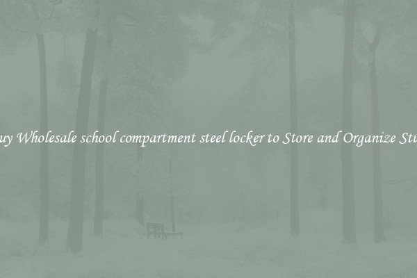 Buy Wholesale school compartment steel locker to Store and Organize Stuff