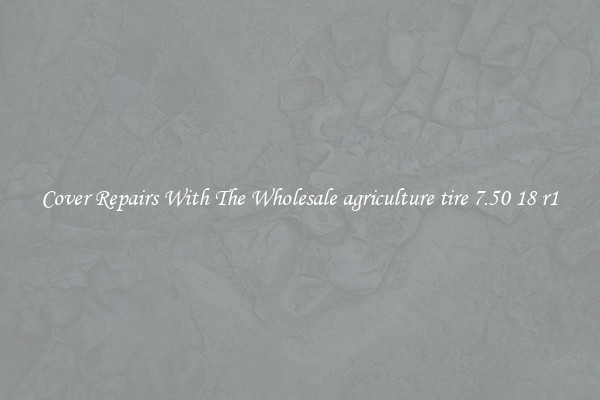  Cover Repairs With The Wholesale agriculture tire 7.50 18 r1 