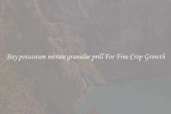 Buy potassium nitrate granular prill For Fine Crop Growth
