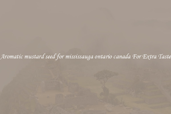 Aromatic mustard seed for mississauga ontario canada For Extra Taste