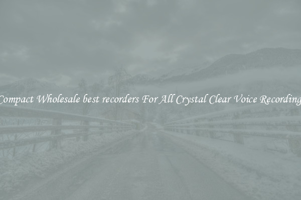 Compact Wholesale best recorders For All Crystal Clear Voice Recordings