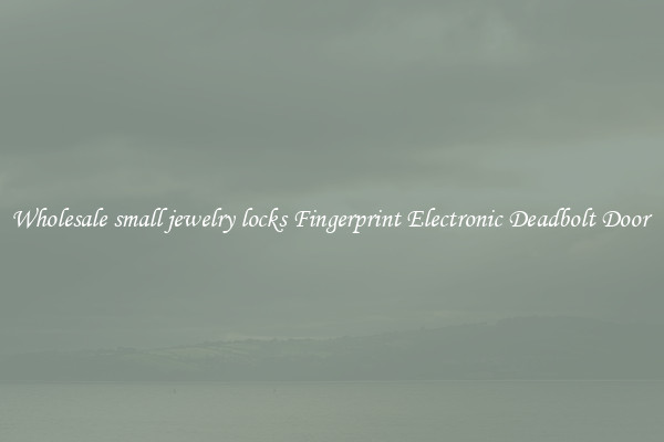 Wholesale small jewelry locks Fingerprint Electronic Deadbolt Door 