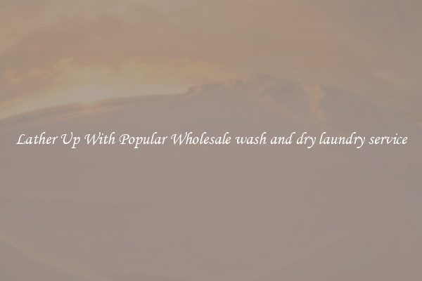 Lather Up With Popular Wholesale wash and dry laundry service
