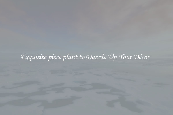 Exquisite piece plant to Dazzle Up Your Décor  